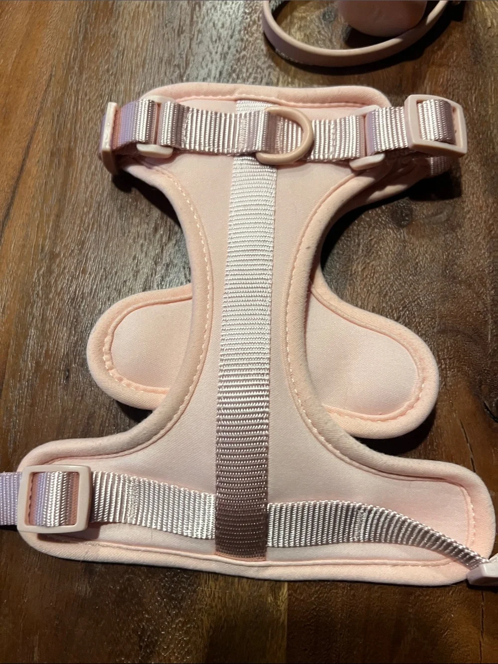 Wild One comfortable padded